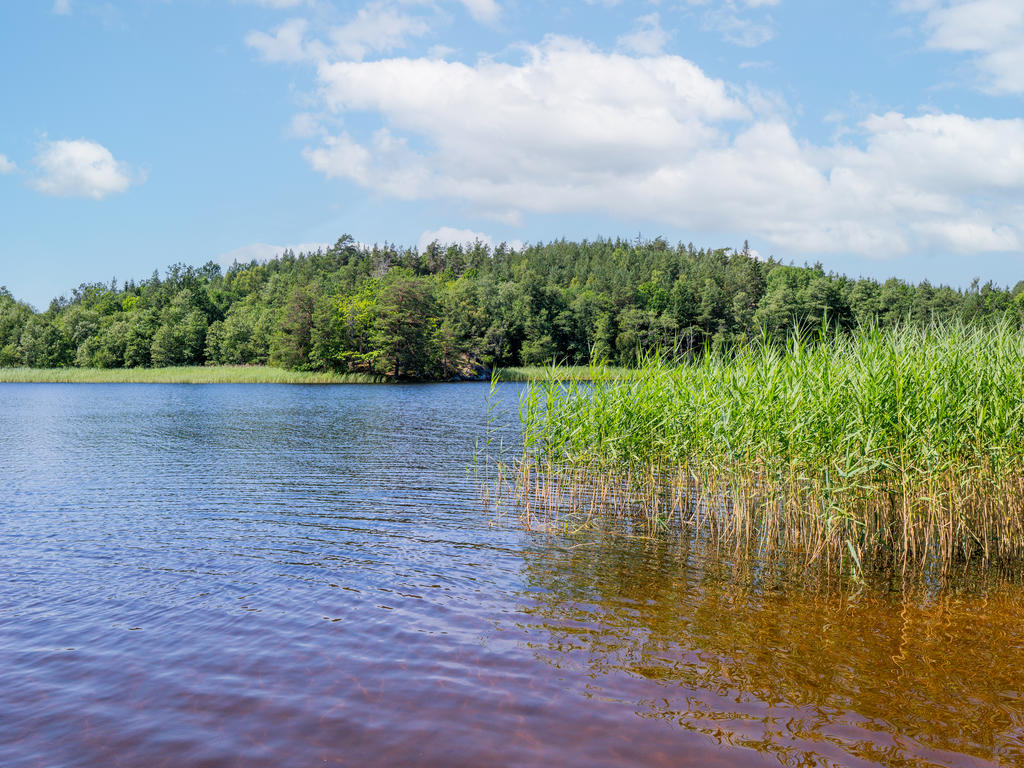 Tovenbadet