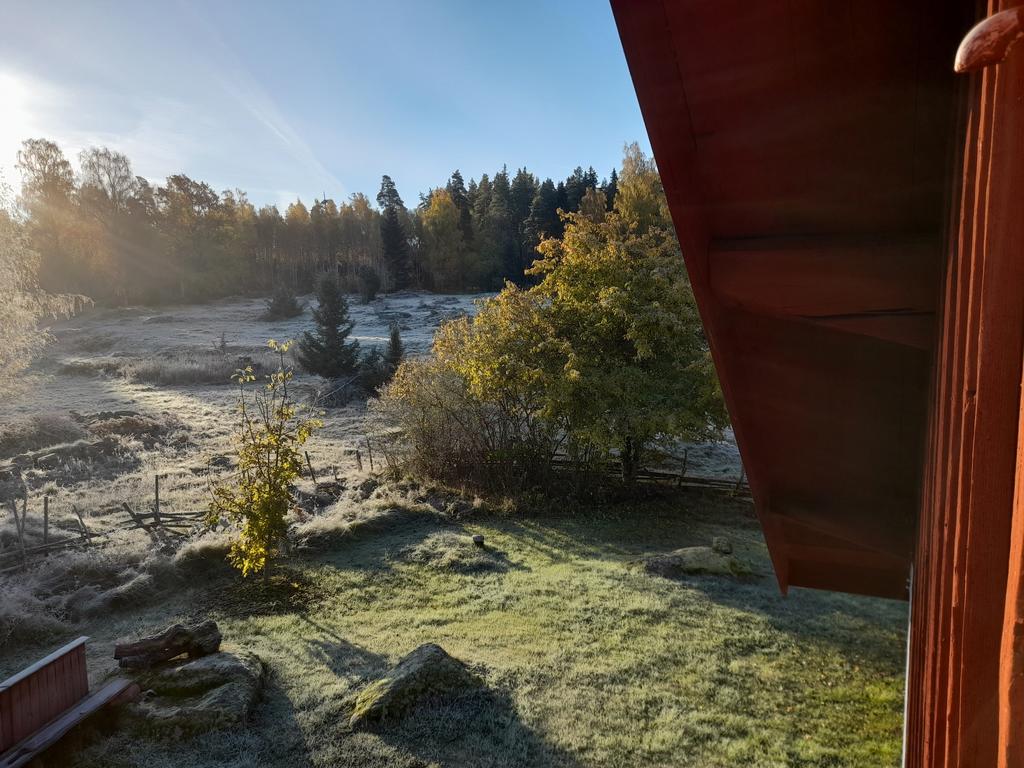 Säljarens egna bilder från sen höst