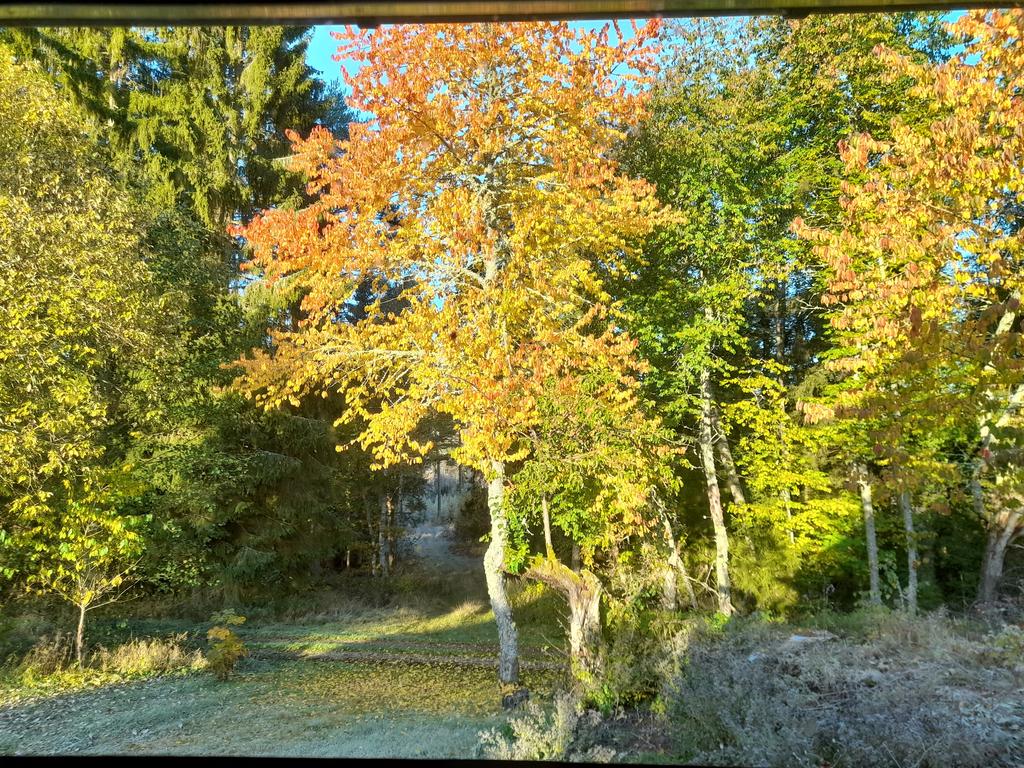 Säljarens egna bilder