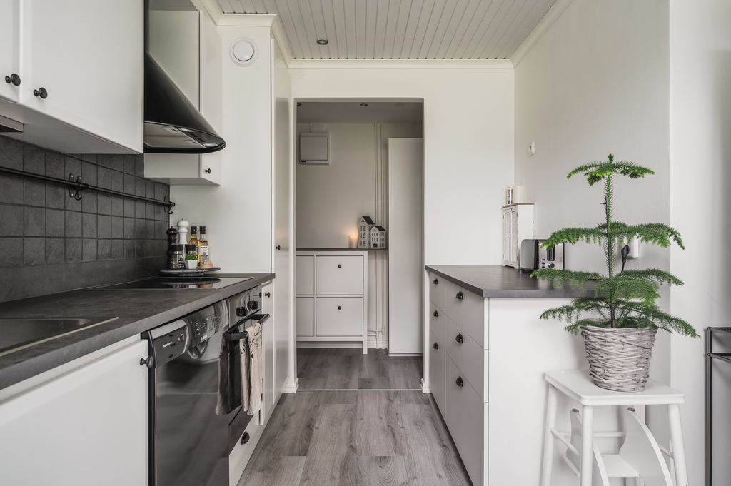 Vy mot hallen från köket