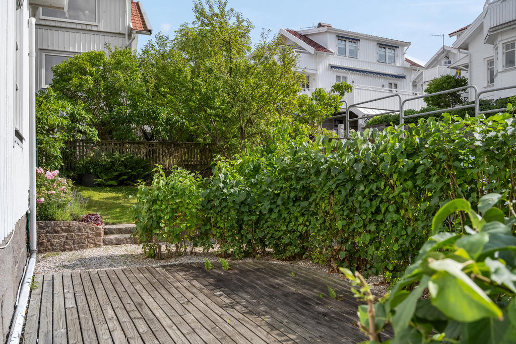 Underbar berså i den insynsskyddade trädgården