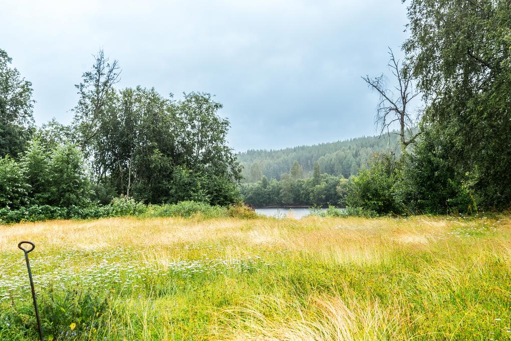Vy mot Klarälven