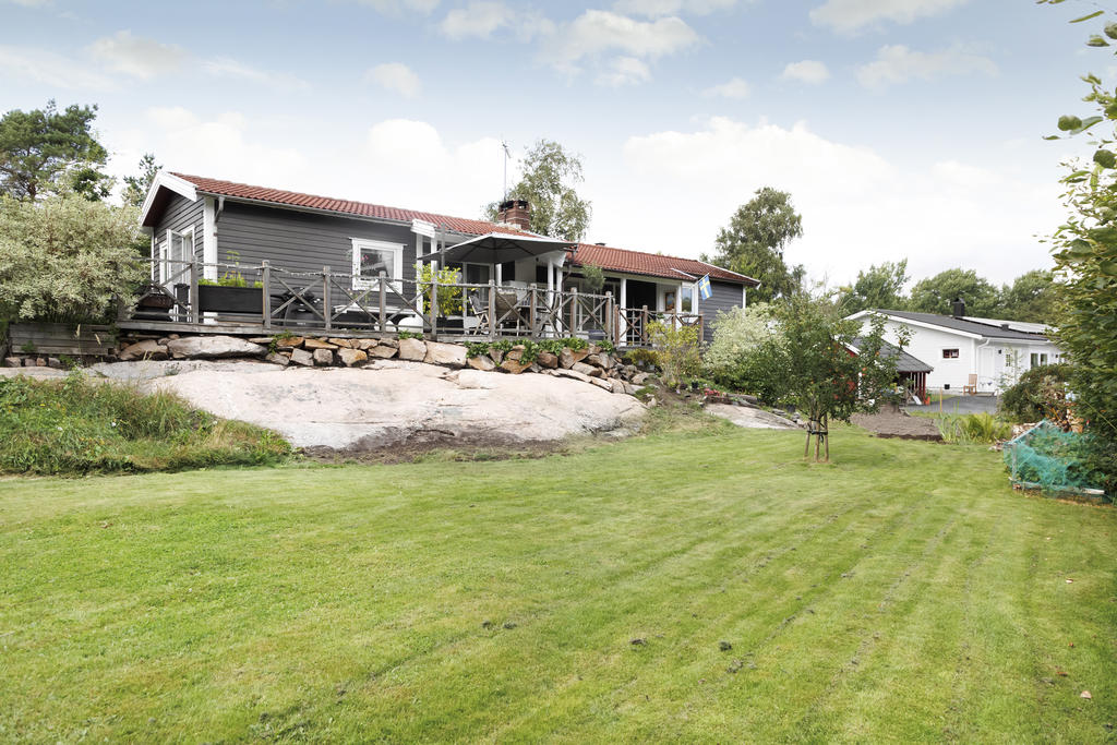 Trädgård 