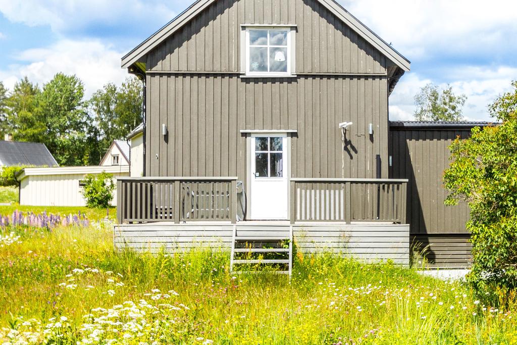 Exteriör