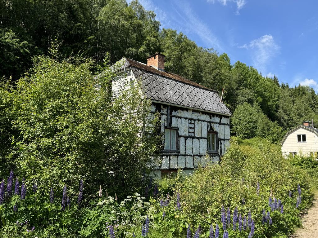 Exteriör