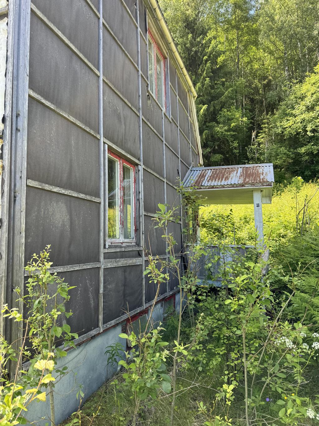 Exteriör
