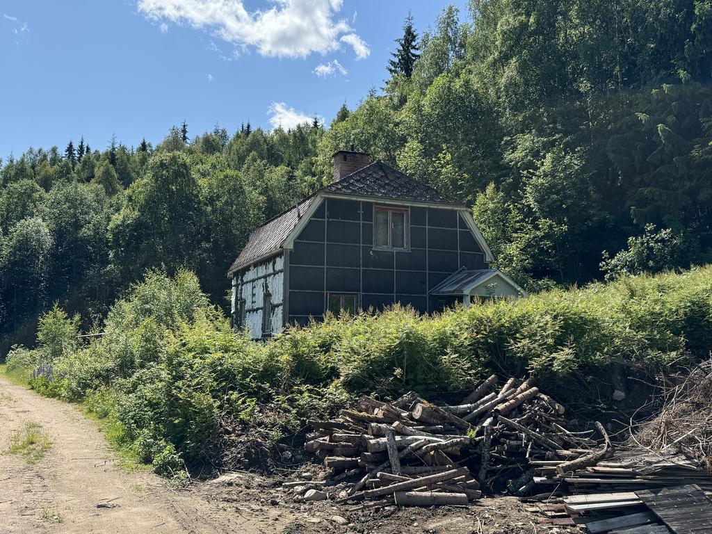 Exteriör