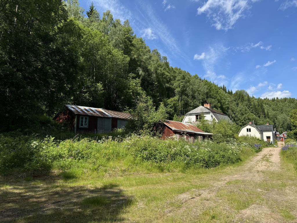 Exteriör
