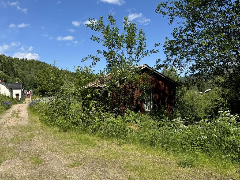 Exteriör