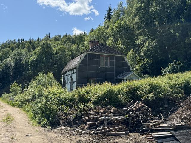 Exteriör