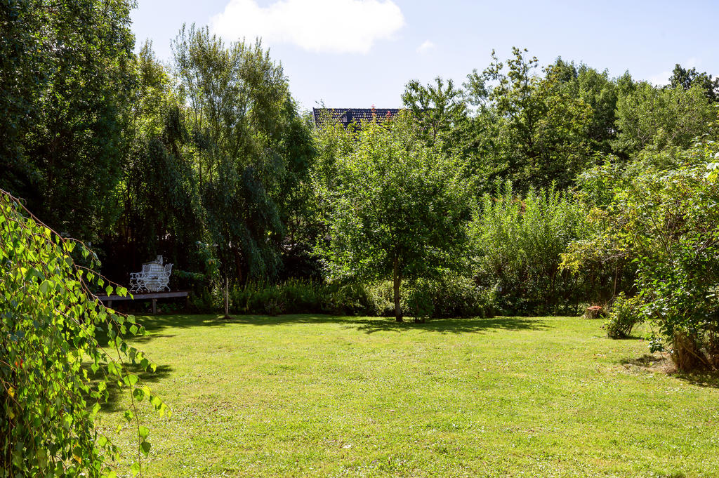 Stor och plan gräsmatta