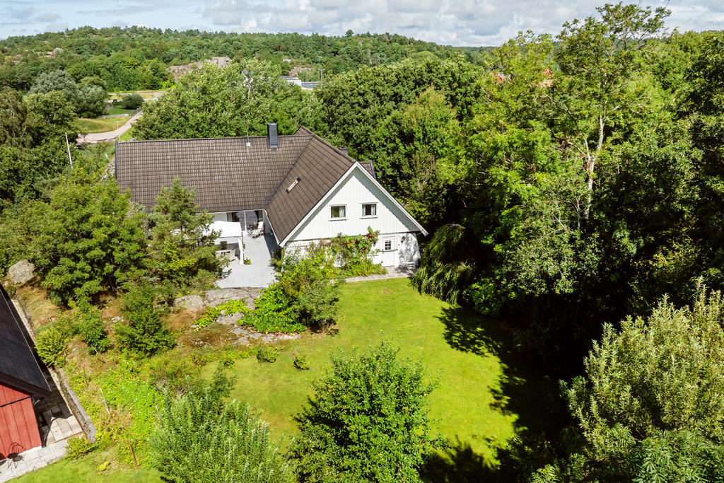 Härligt med all grönska runt om