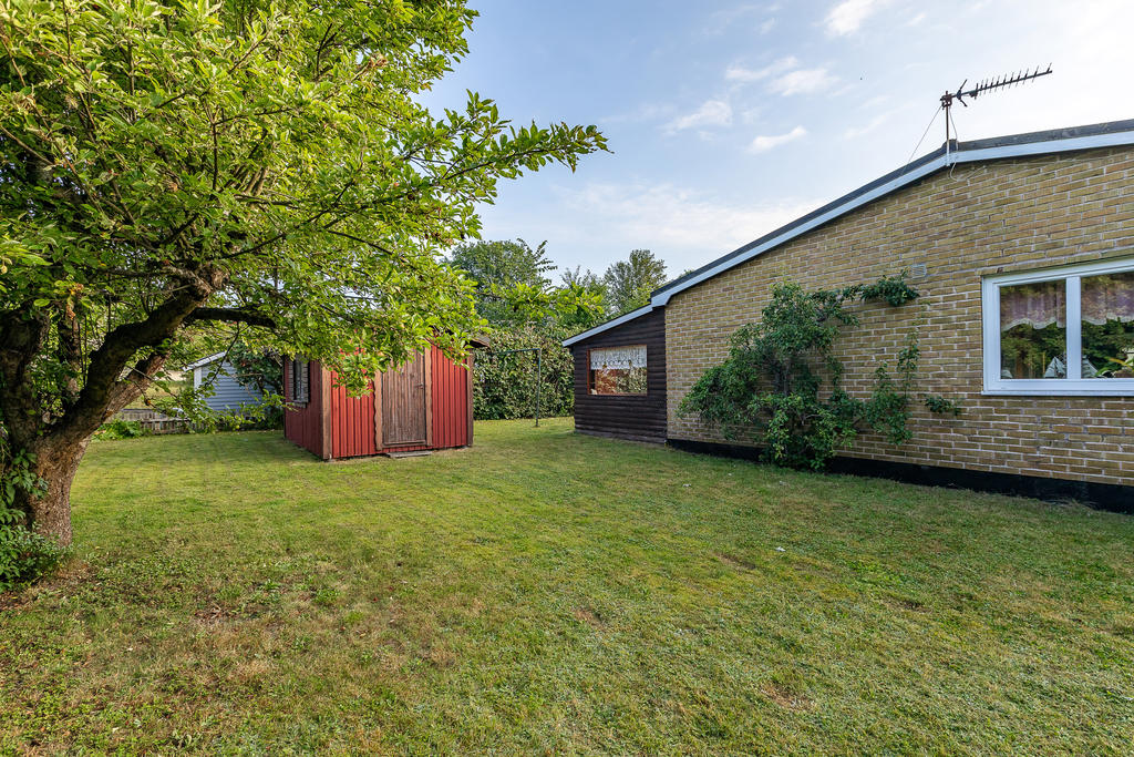 Grönskande Trädgård