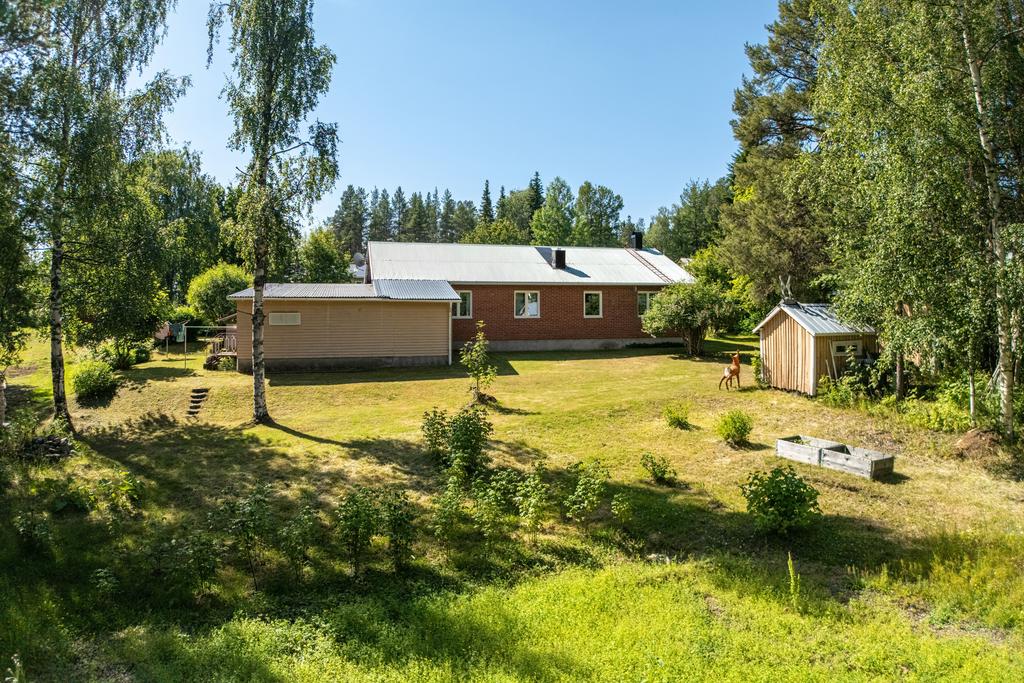 Stor och lummig trädgård