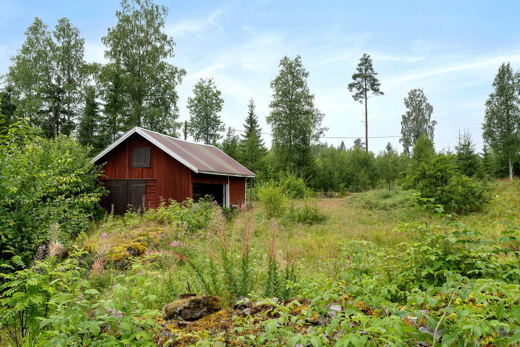 Förråd och trädgård