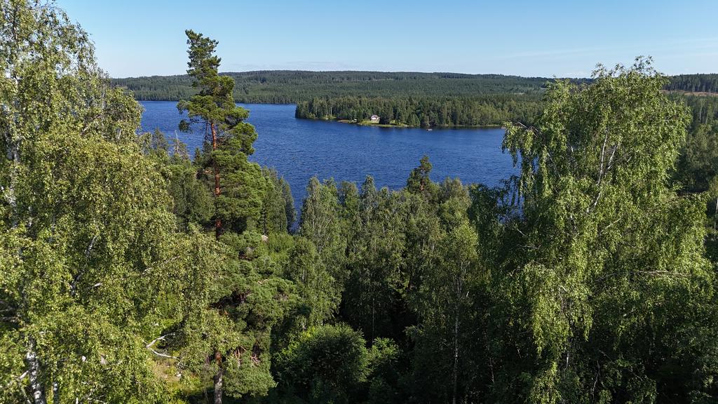 Drönarbild tagen direkt över fastigehten ner mot sjön.