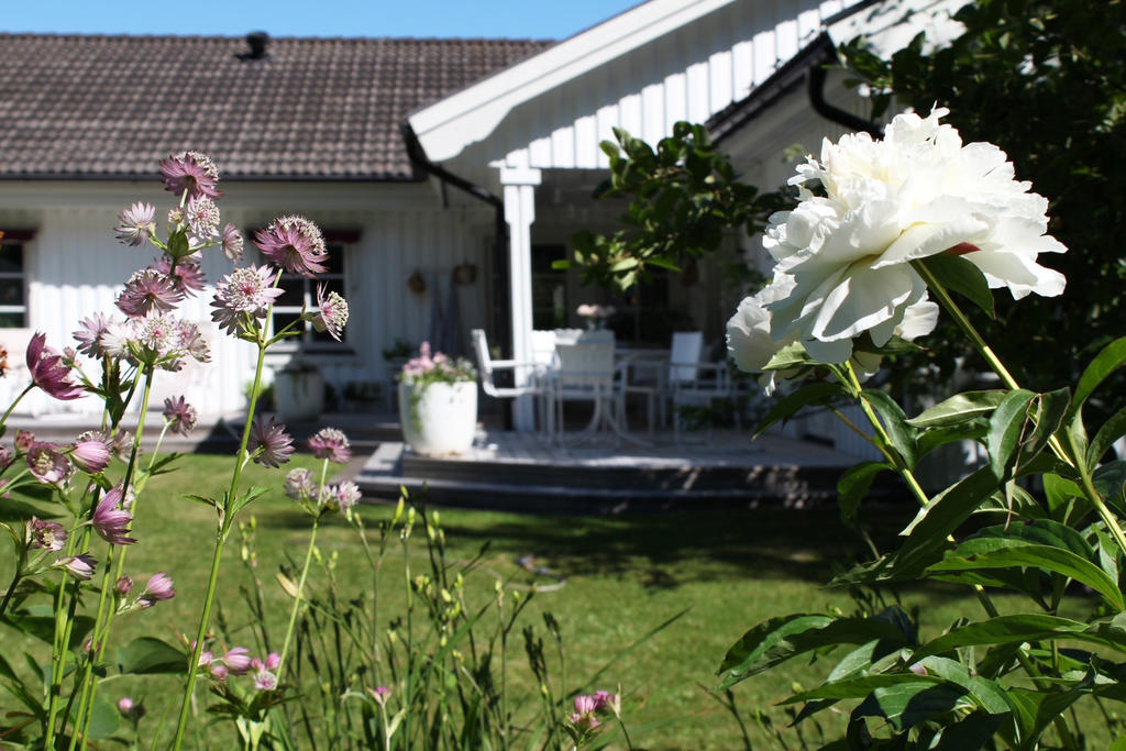Säljarens egen sommarbild