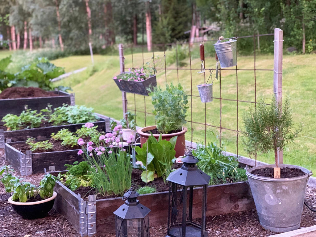 Säljarens egen sommarbild