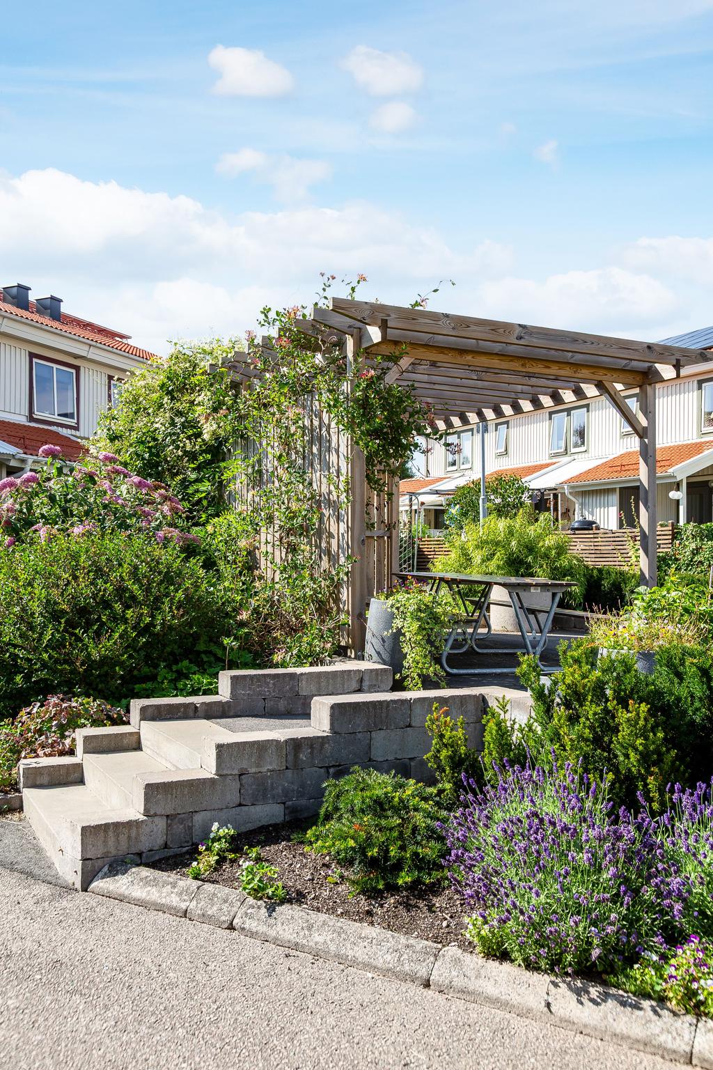 Föreningens gemensamma ytor