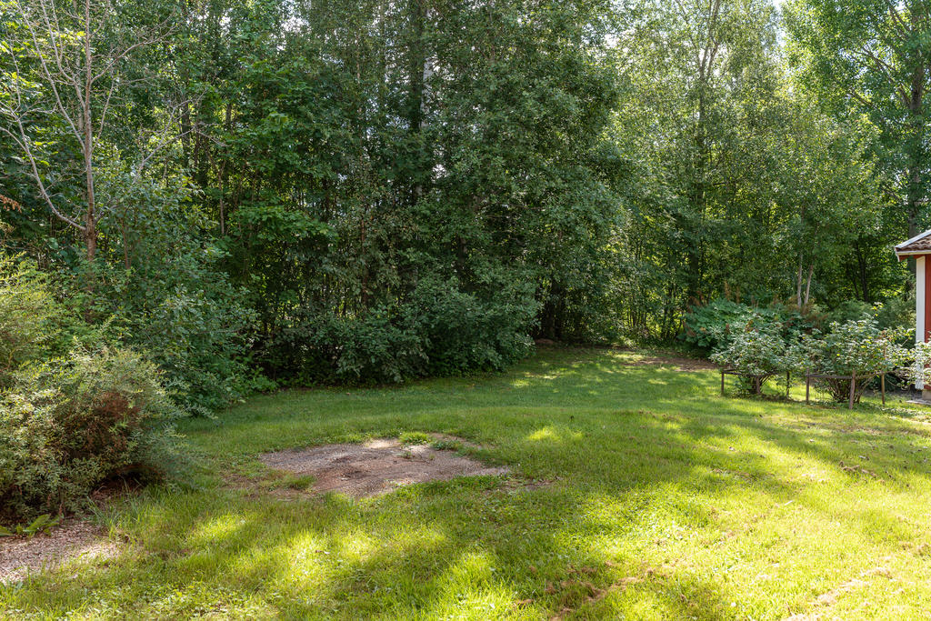 Trädgård på baksidan