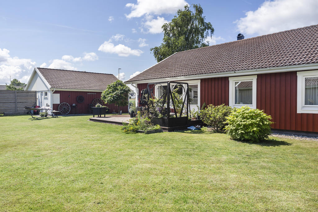 Trädgården