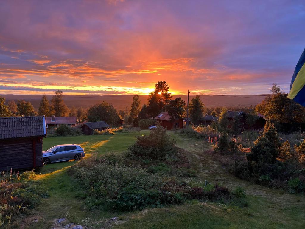 Säljarens egna bild.