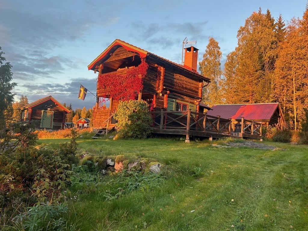Säljarens egna bild.