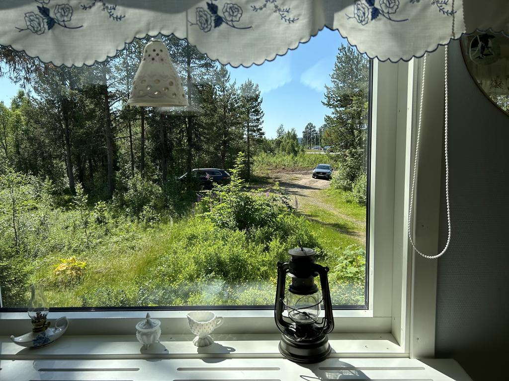 Utsikt från allrum
