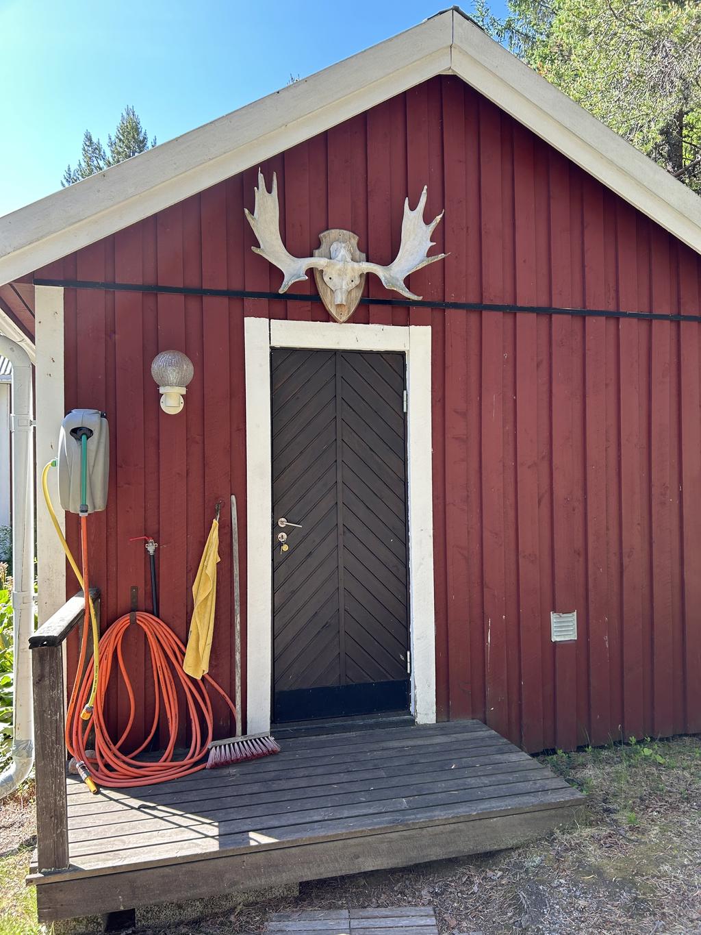 Exteriör