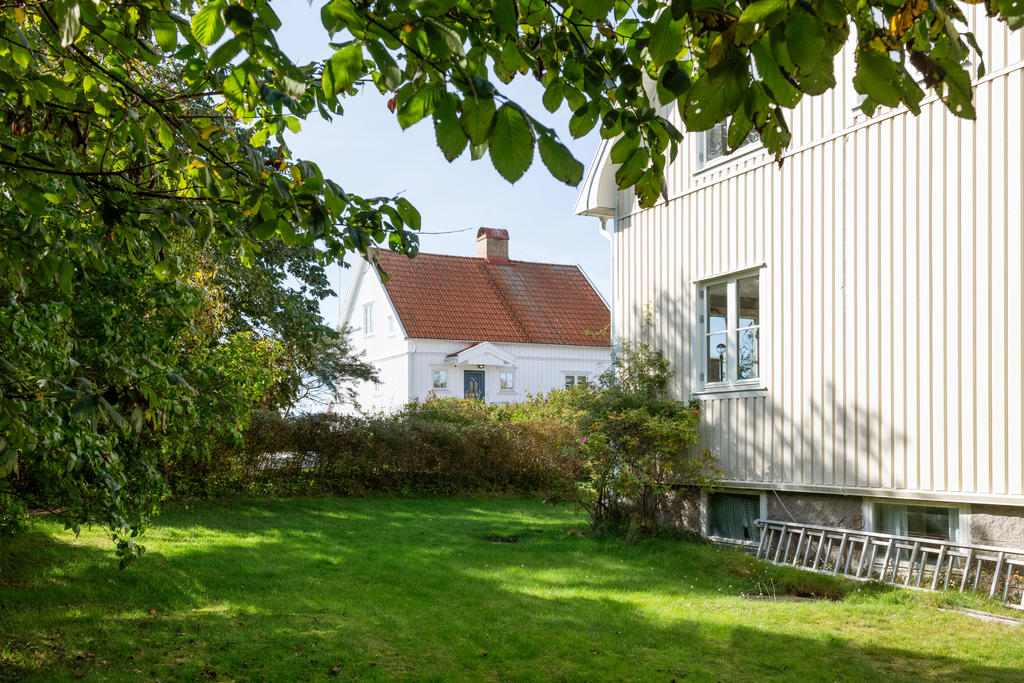 Mysig trädgård för umgänge, lek och bus.