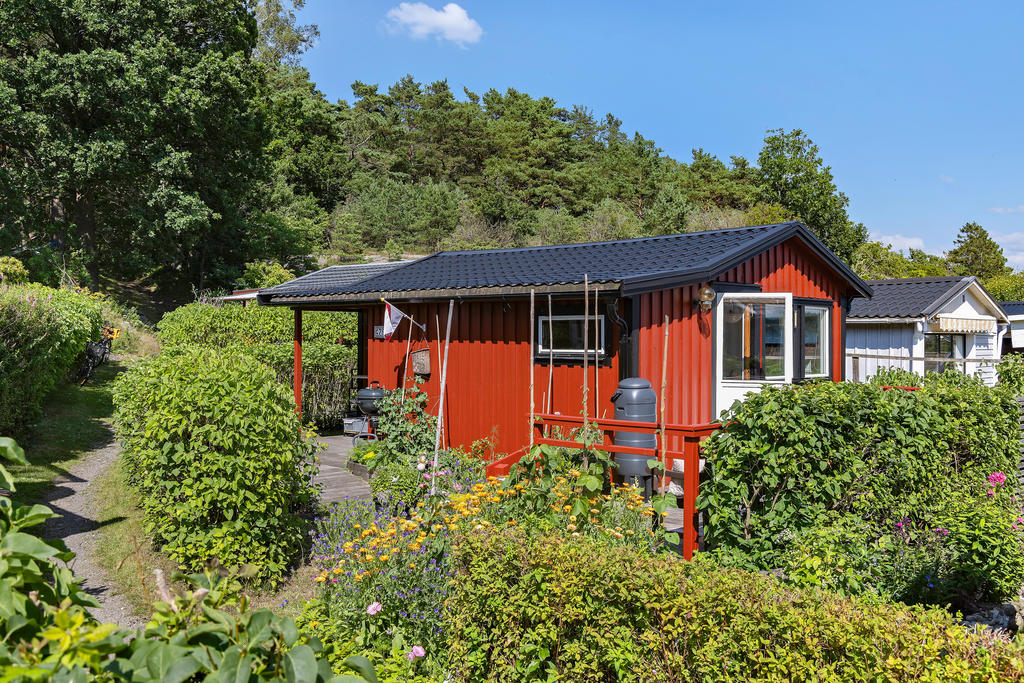 Välkomna till detta lummiga paradis