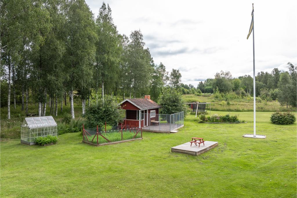 Växthus och hundgård!