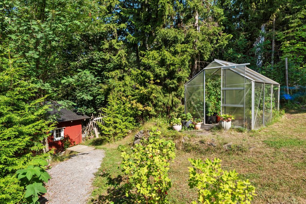 Växthus och stigen ner mot hönshuset
