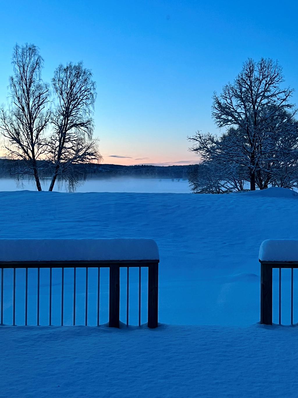 Säljarnas magiska vinterlandskap