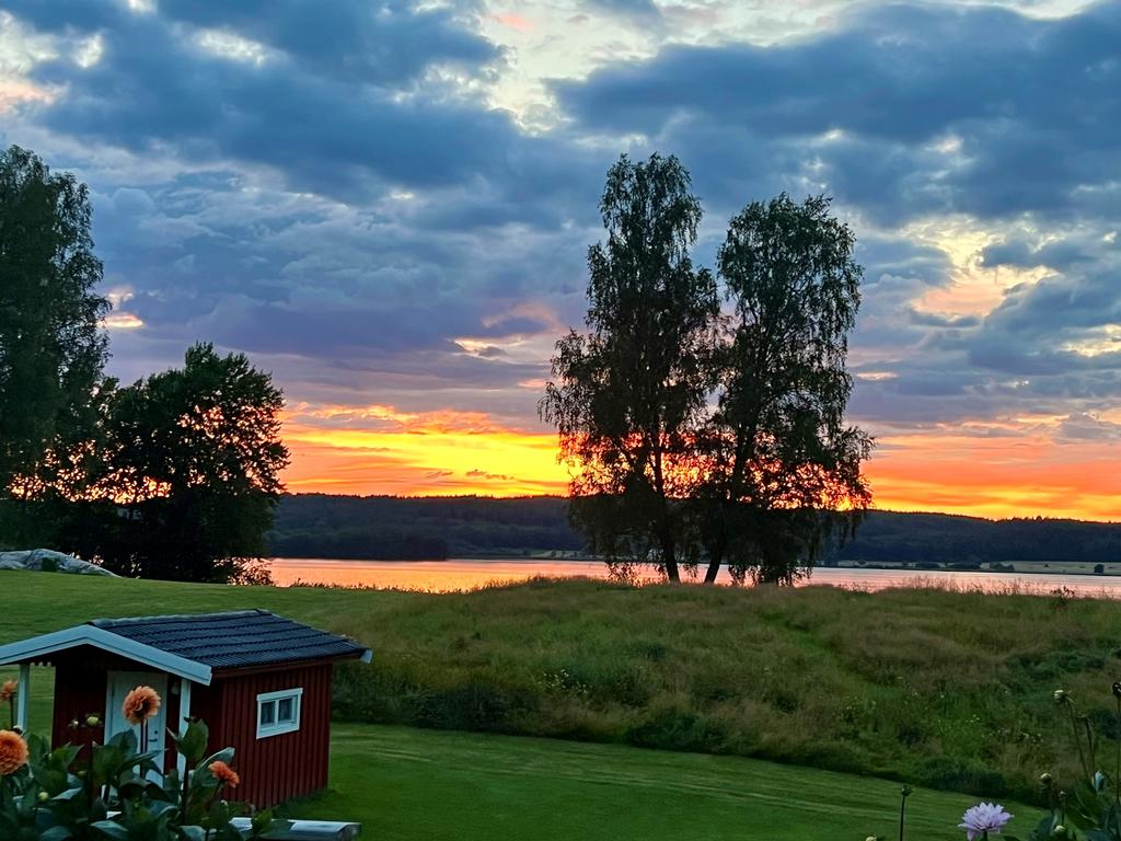 Säljarnas egna bilder