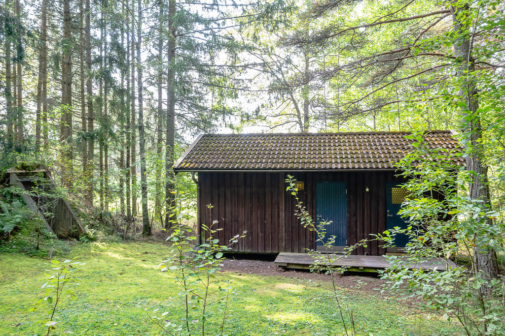 Gästhus och jordkällare