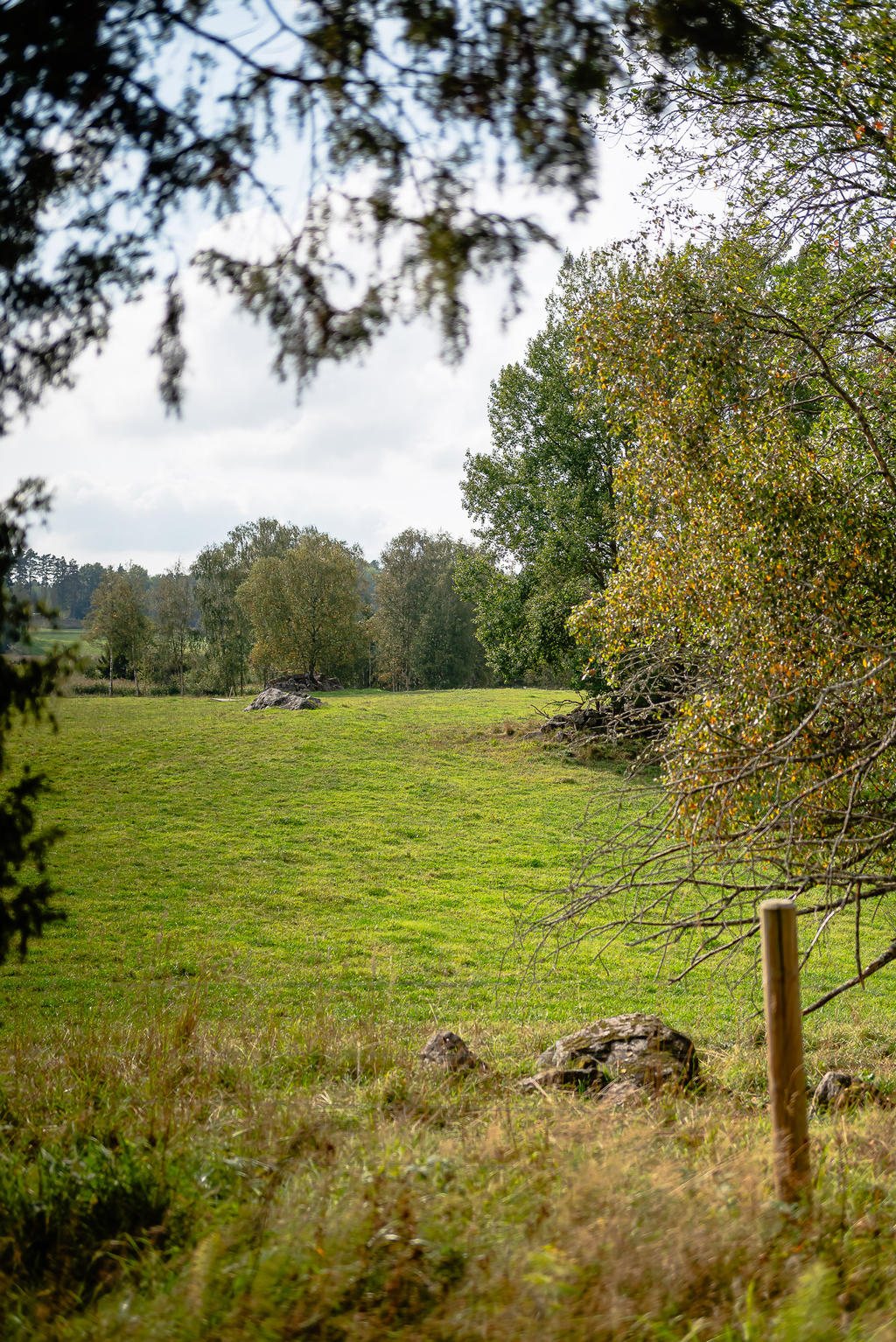 Utsikt över ängar och hagar