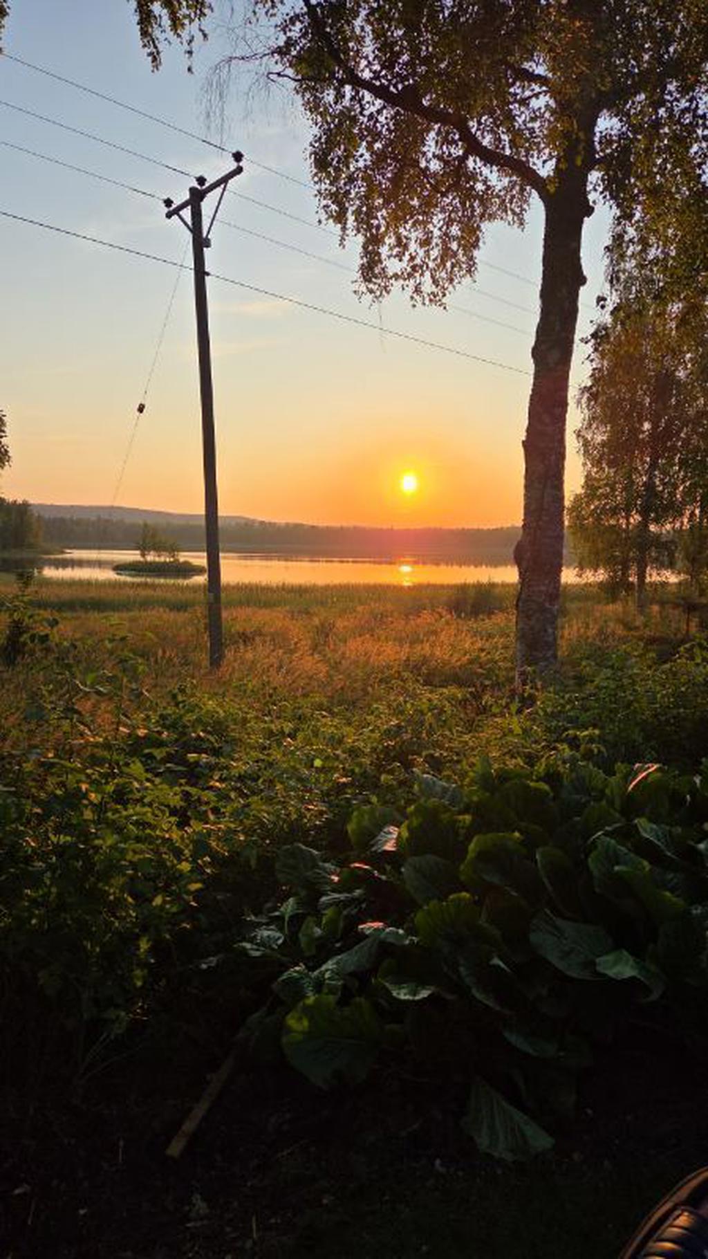 Säljarens egna bilder