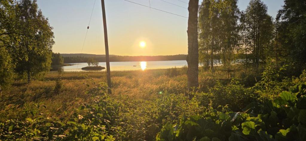 Säljarens egna bilder