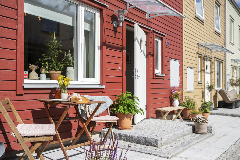 Mys i förmiddagssolen på framsidan