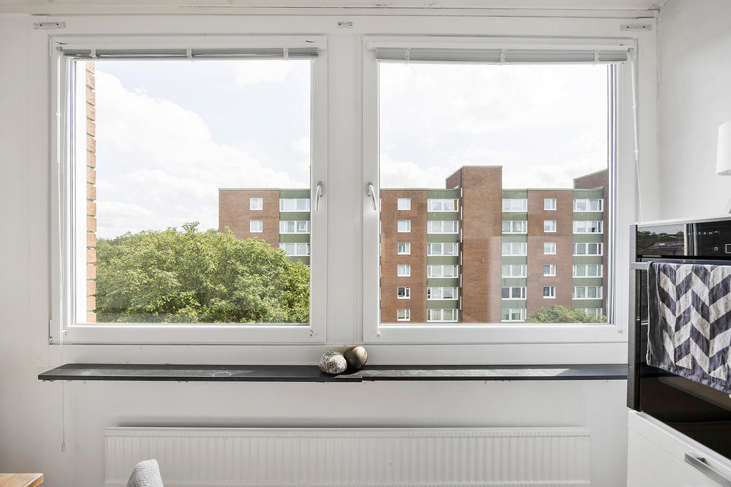 Utsikt från köket