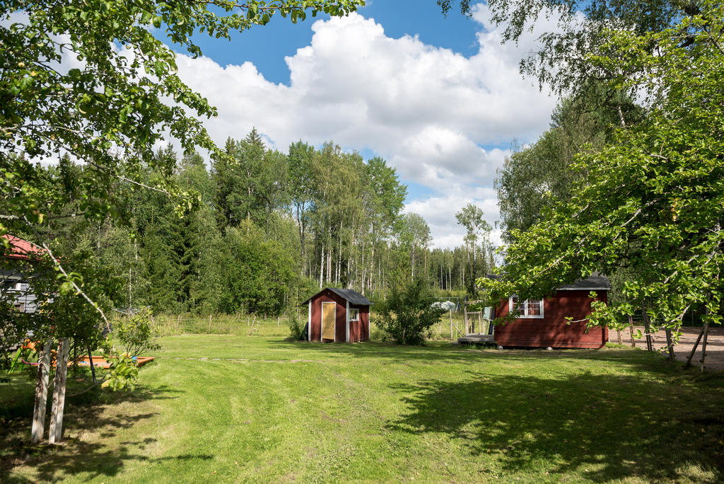 Trädgård.
