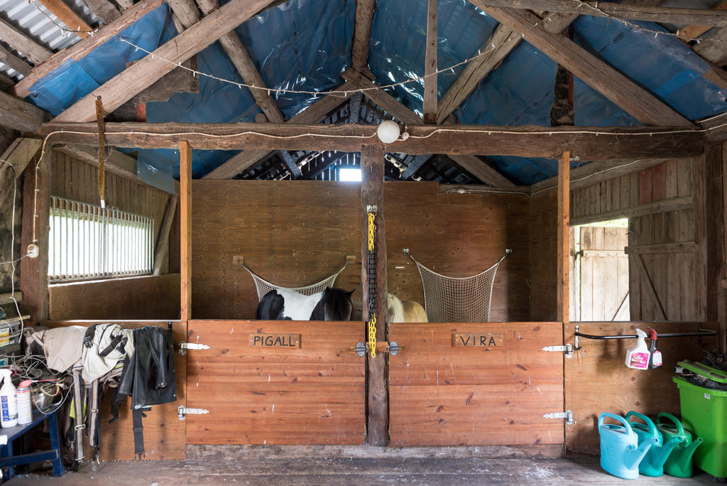 Stall. 