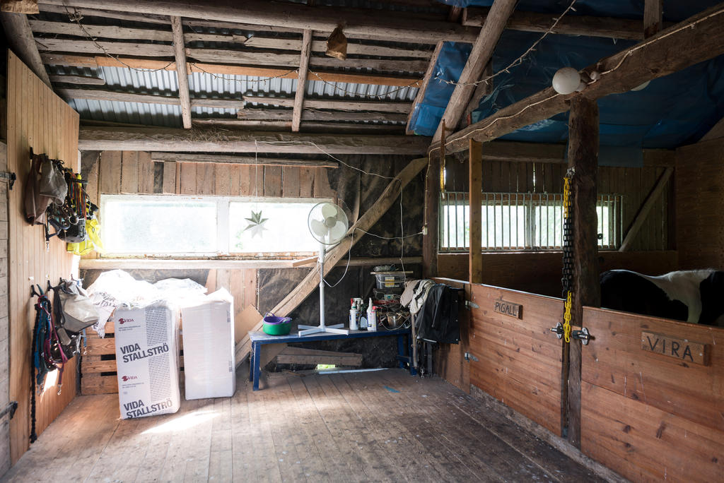 Stall.