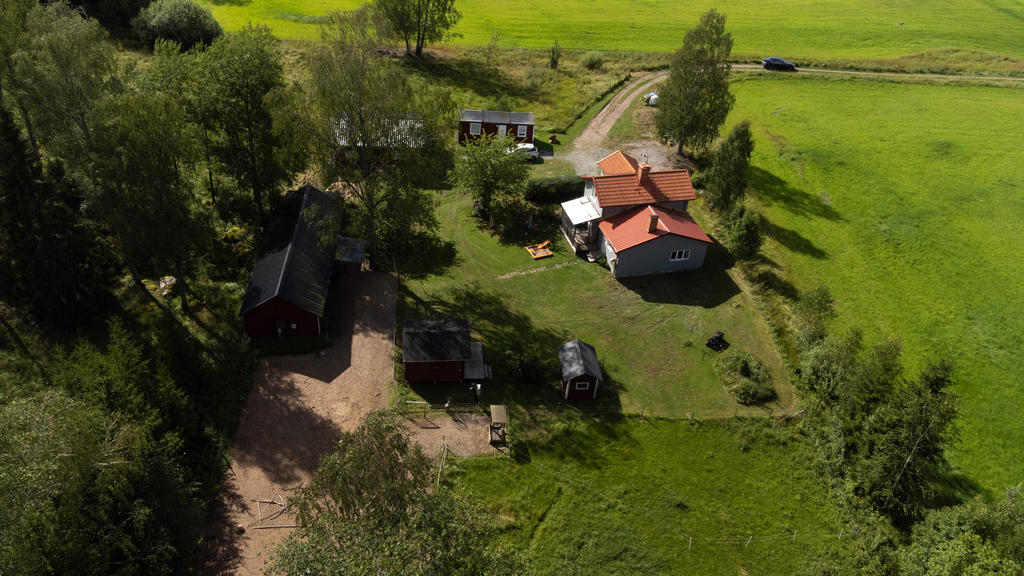 Översikt