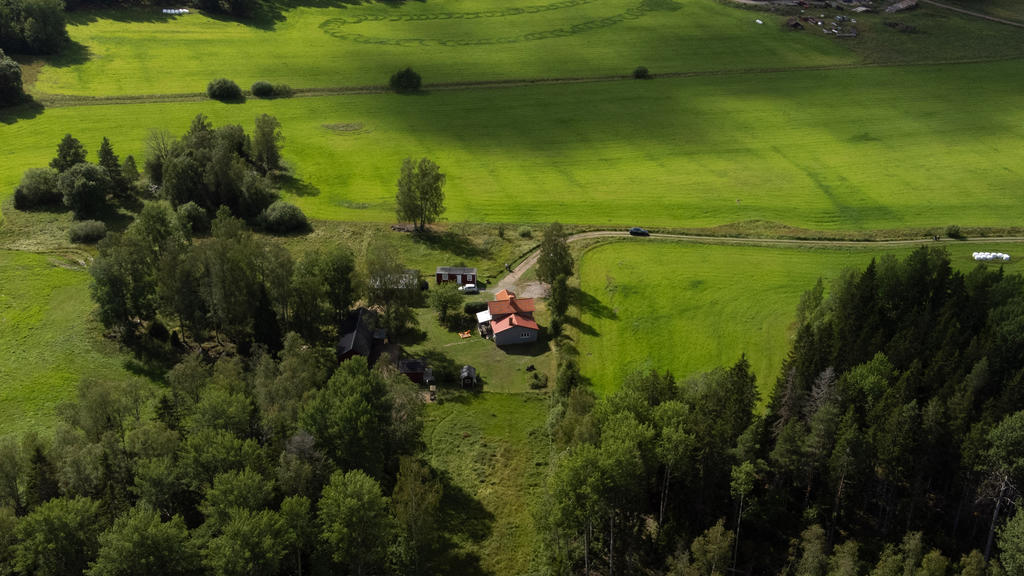 Översikt