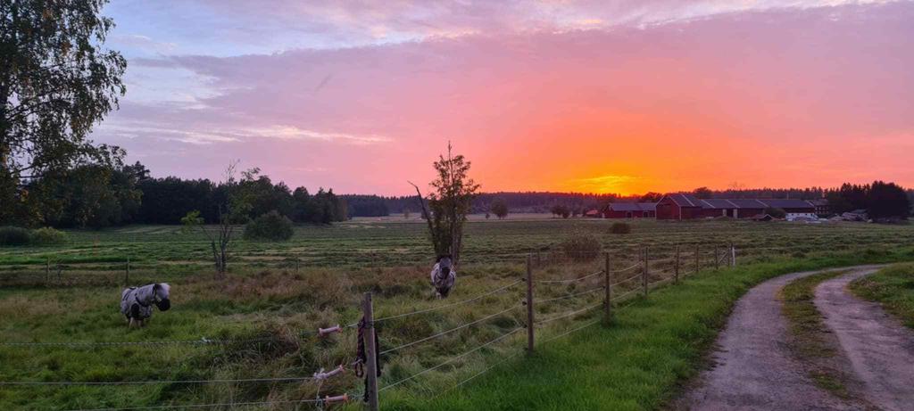 (Säljarens privata bild)