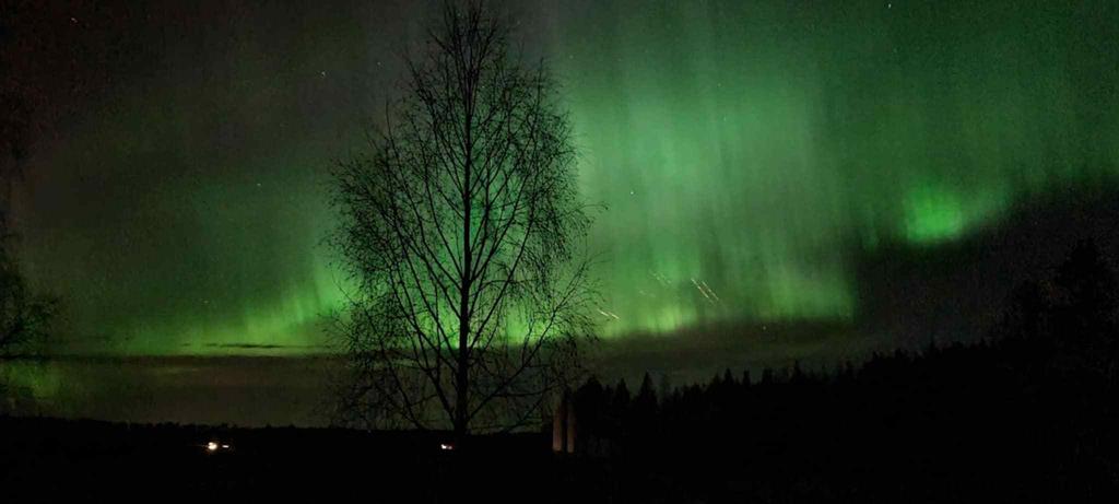 (Säljarens privata bild)