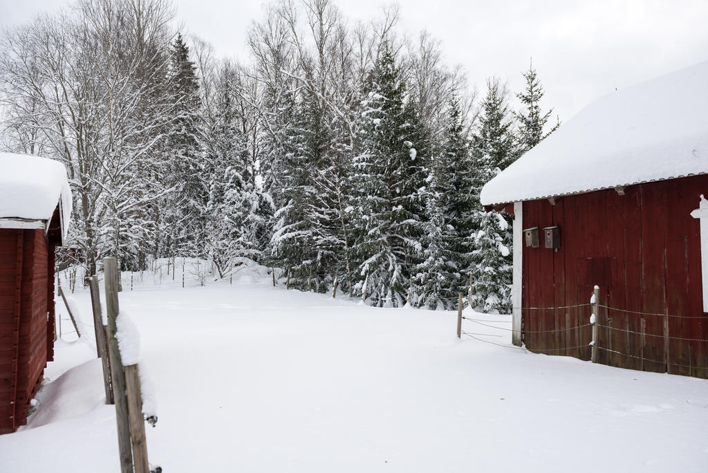 Hage med stallbyggnad till hö