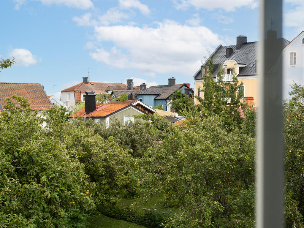 Utsikt från köksfönstret